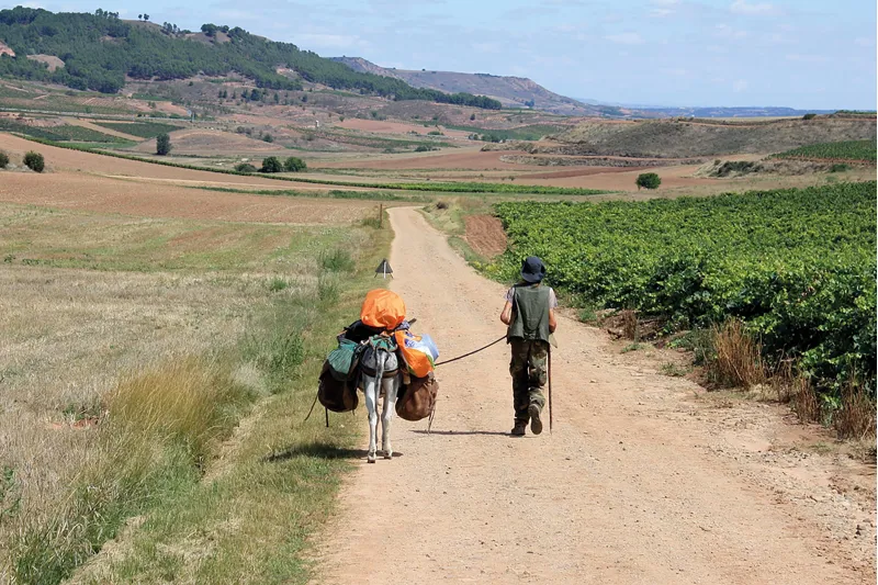 Cicerone - Cycling The Camino De Santiago - Mike Wells-5